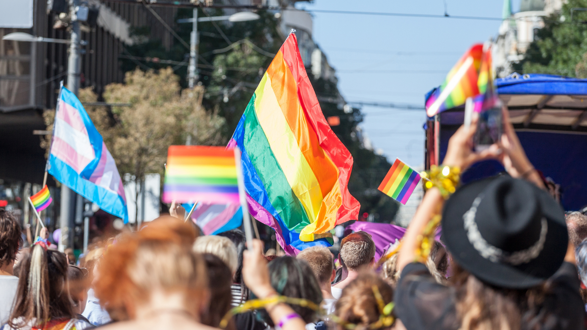Photo of a Pride parade taken from among the marchers. Marchers hold up gay and trans pride flags.